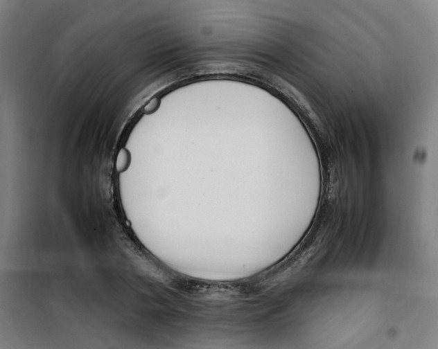 X0000100340786200807031257