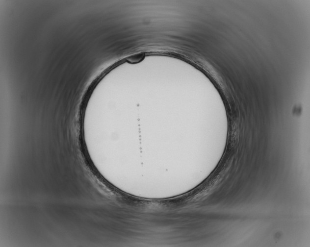 X0000100340787200807031257