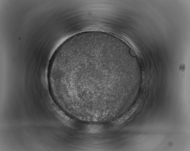 X0000100340788200807031257