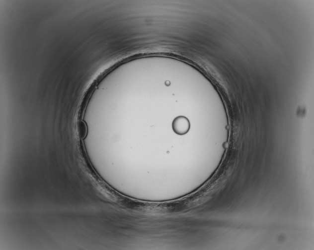 X0000100340789200807031257