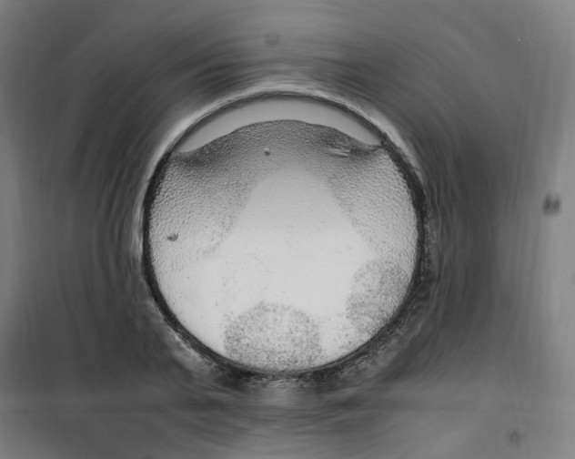 X0000100340791200807031257