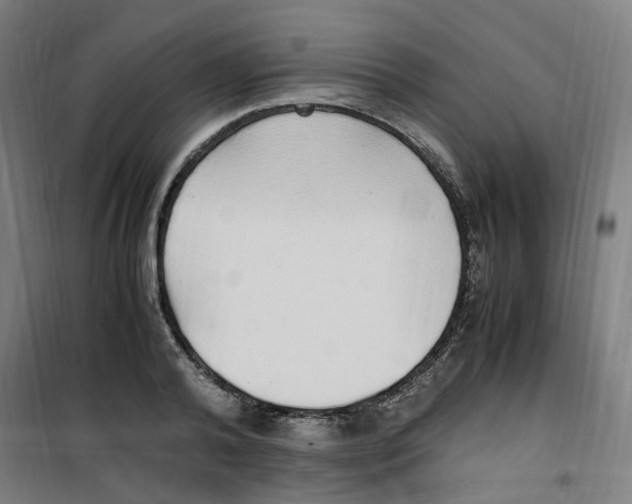 X0000100340792200807031257