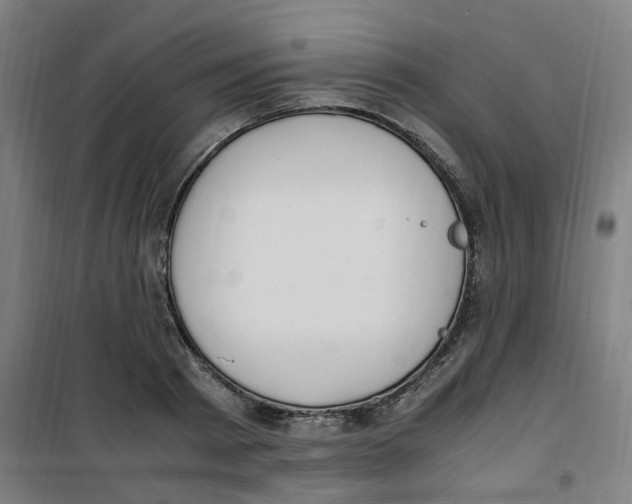 X0000100340793200807031257