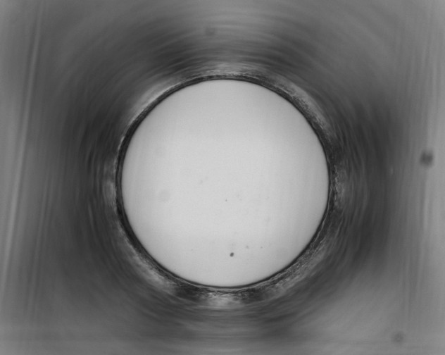 X0000100340794200807031257