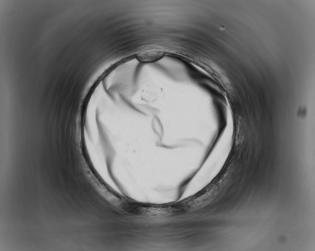 X0000100340796200807031257