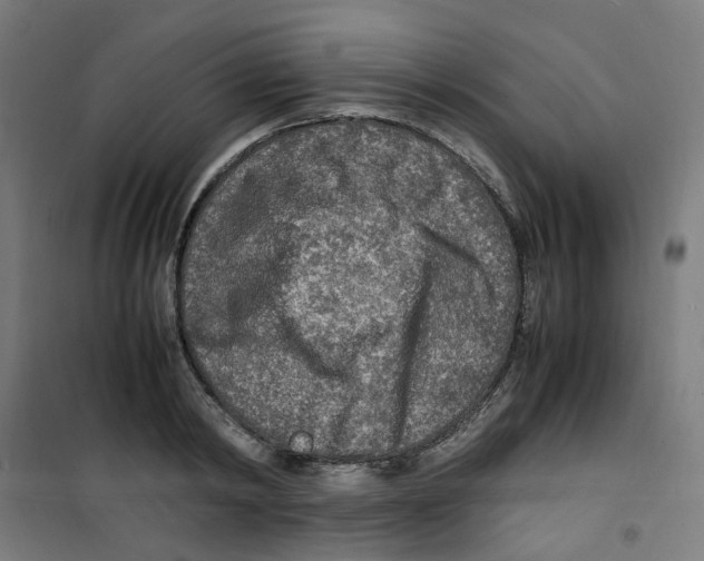 X0000100340798200807031257