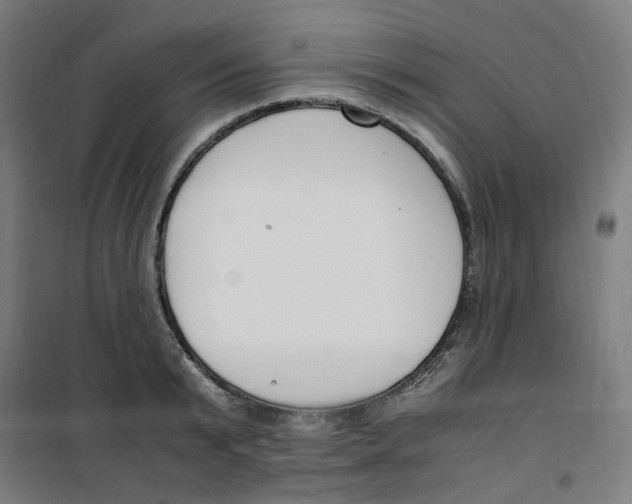 X0000100340799200807031257