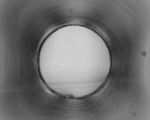 X0000100340800200807031257