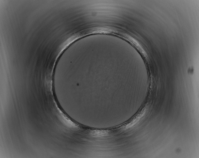 X0000100340802200807031257