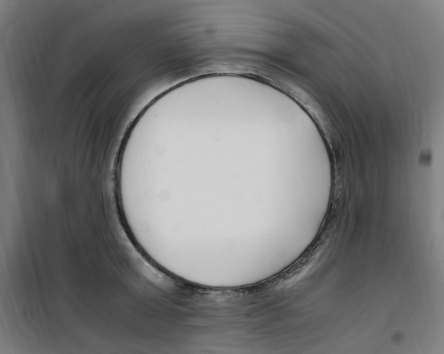 X0000100340803200807031257