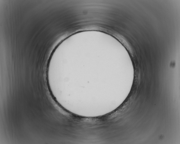 X0000100340805200807031257