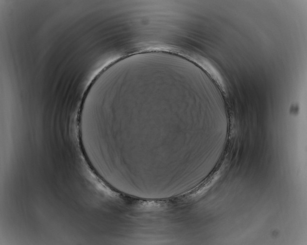 X0000100340806200807031257