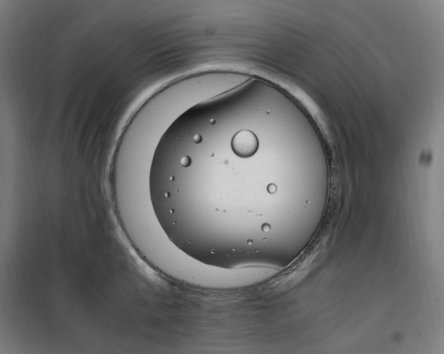 X0000100340807200807031257