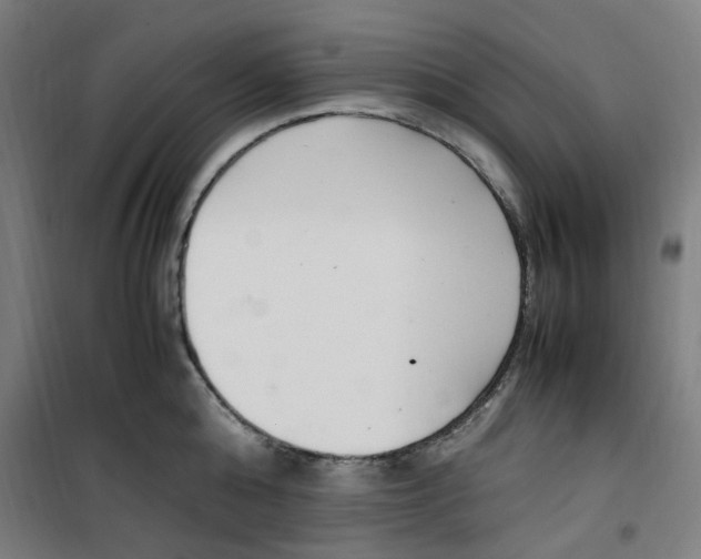 X0000100340808200807031257