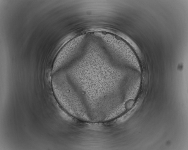 X0000100340809200807031257