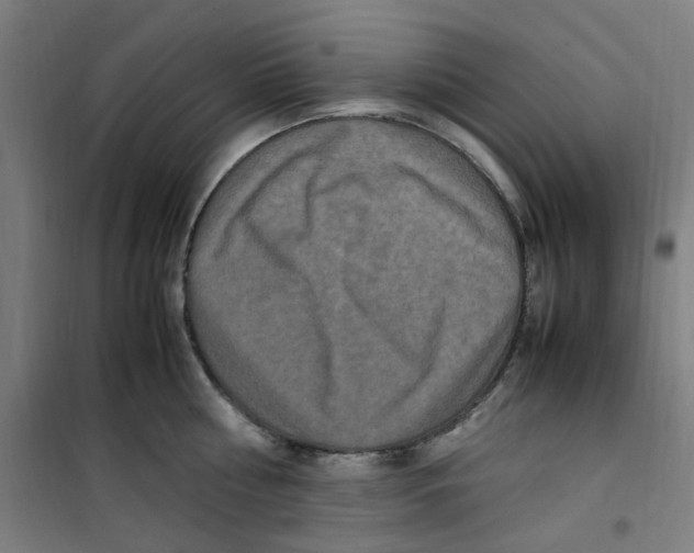 X0000100340810200807031257