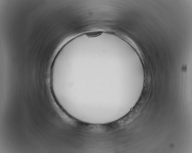 X0000100340811200807031257