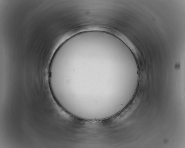 X0000100340813200807031257