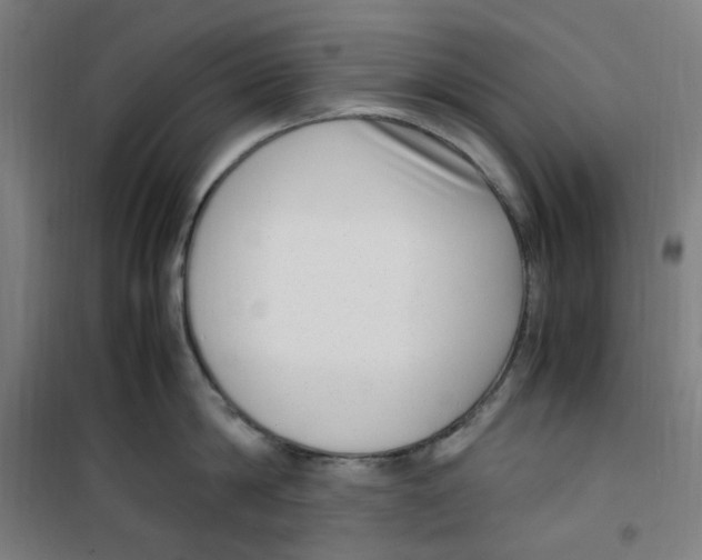 X0000100340814200807031257