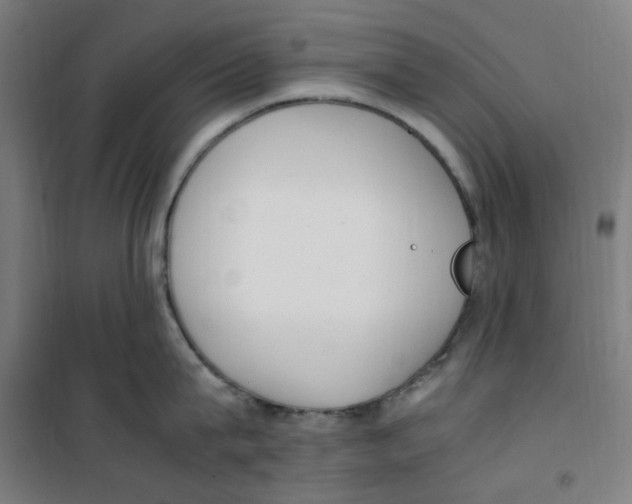 X0000100340815200807031257