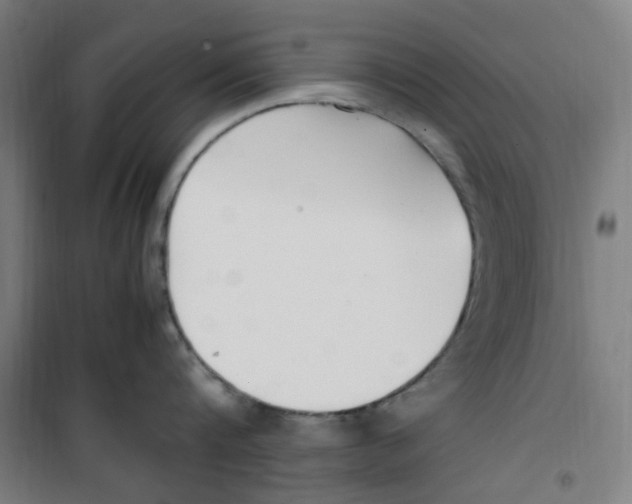 X0000100340816200807031257