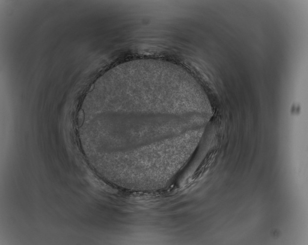 X0000100340817200807031256