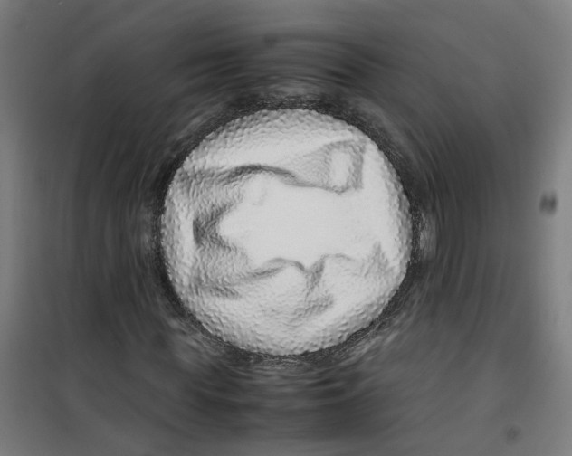 X0000100340819200807031256