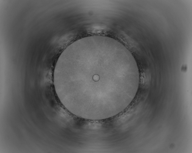 X0000100340820200807031256