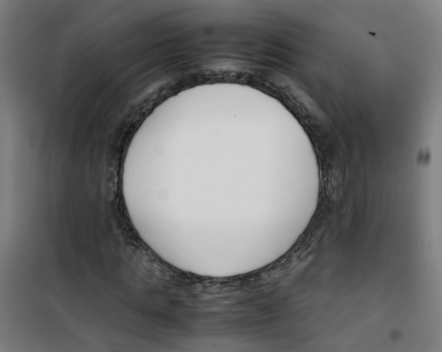 X0000100340821200807031256