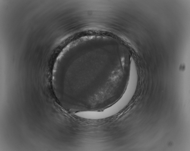 X0000100340822200807031256