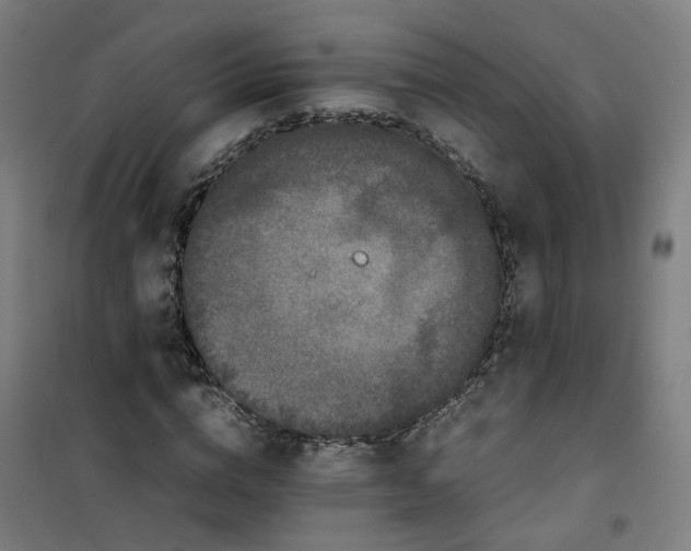 X0000100340824200807031256