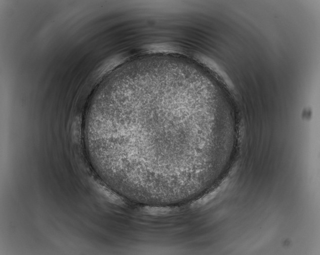 X0000100340825200807031256