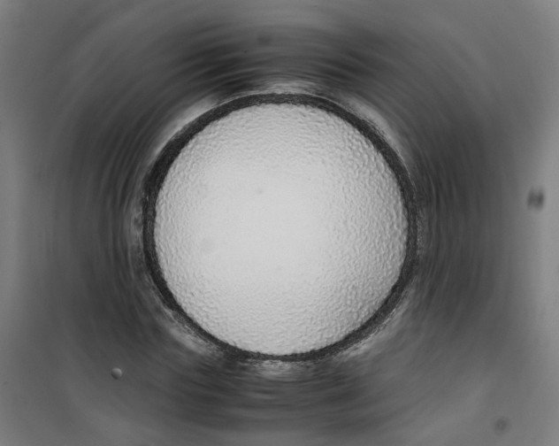 X0000100340827200807031256