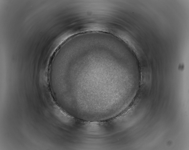 X0000100340828200807031256