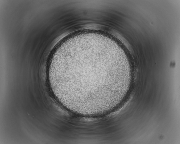 X0000100340829200807031256