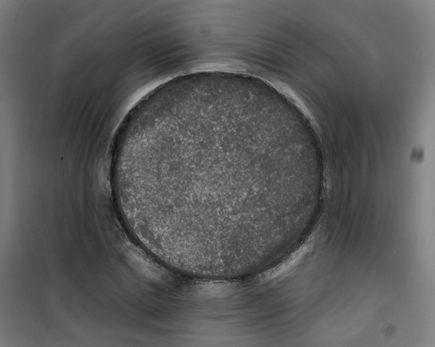 X0000100340830200807031256