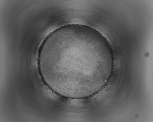 X0000100340832200807031256