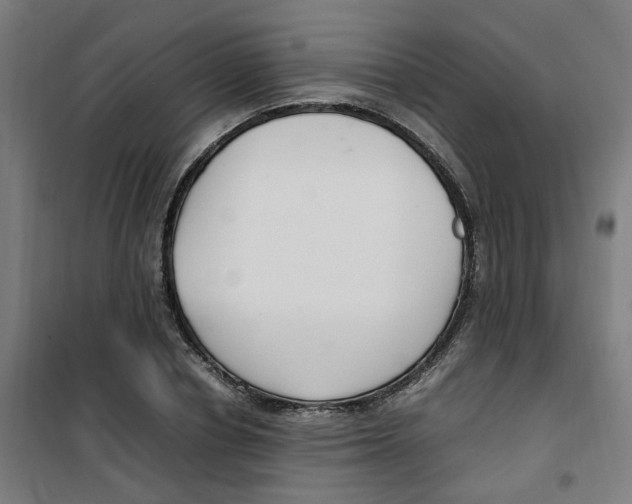 X0000100340834200807031256