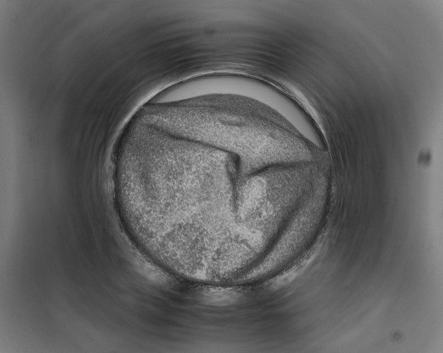 X0000100340835200807031256