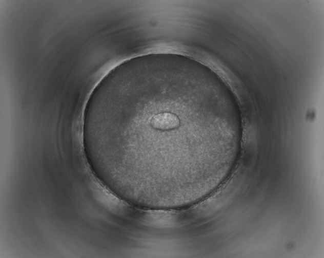 X0000100340836200807031256