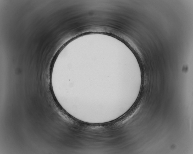 X0000100340837200807031256