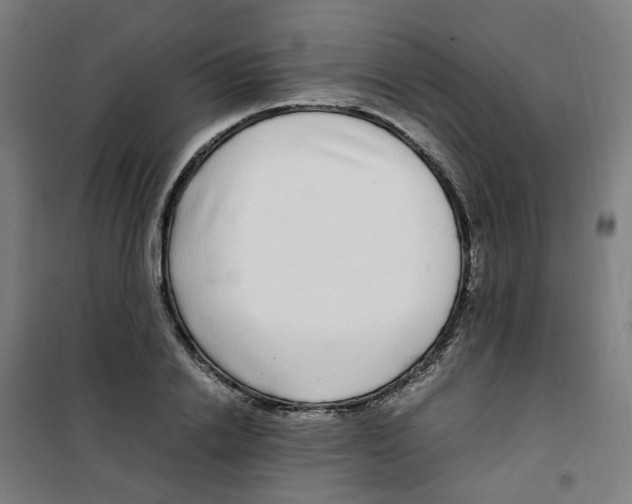 X0000100340838200807031256