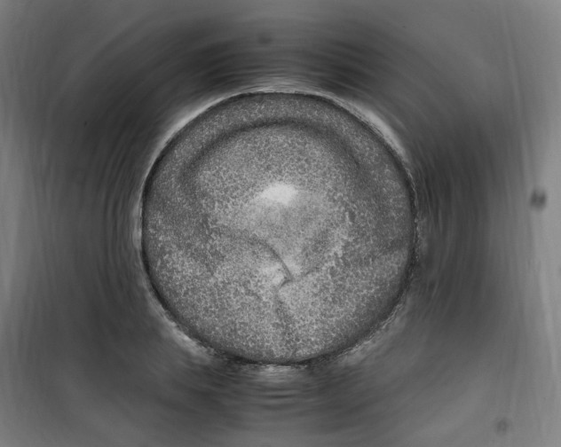 X0000100340839200807031256