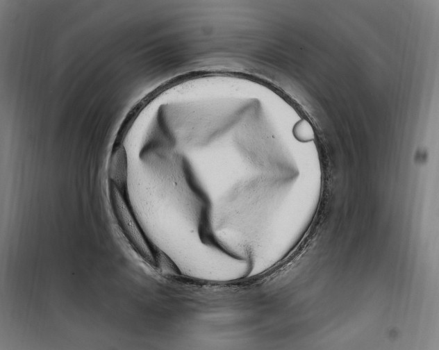 X0000100340840200807031256