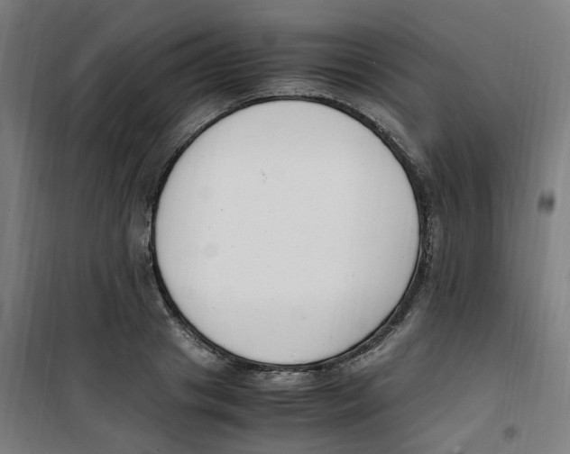 X0000100340841200807031256