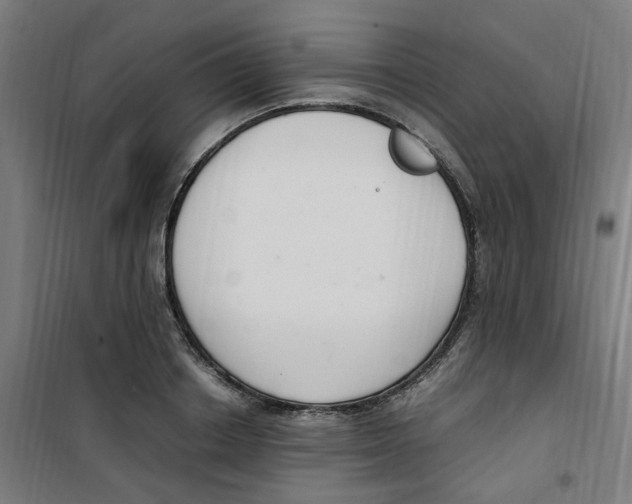 X0000100340842200807031256