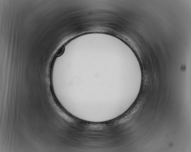 X0000100340843200807031256