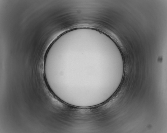 X0000100340844200807031257