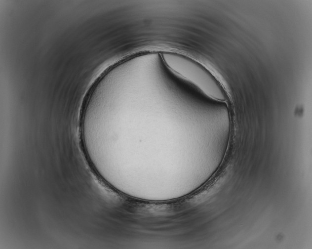 X0000100340845200807031257