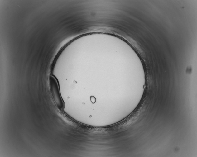 X0000100340846200807031257